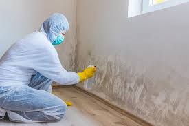 Why You Should Choose Our Mold Remediation Services in Waynesboro, TN