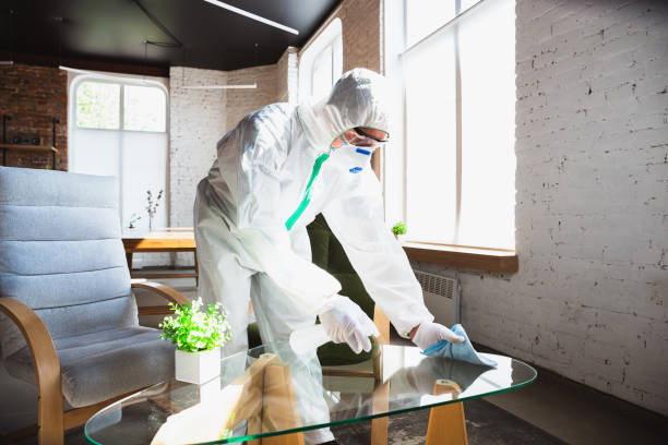 Mold Odor Removal Services in Waynesboro, TN